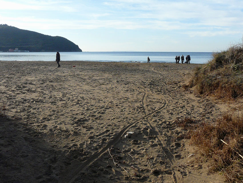 I fossi e lo stagno di Baratti (Piombino - LI)